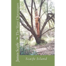 The Slave Chroniques Book 1 Slave Island: Scaife Island