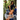 Biker's Girl 3: Descent to Debauchery