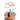 The Big Leap: A Barefoot Girl's Journey