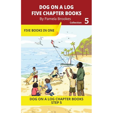 Five Chapter Books 5: Decodable Series for Students Learning to Read. For Beginning Readers and Students with Dyslexia. (Step 5-Magic/Silent e)