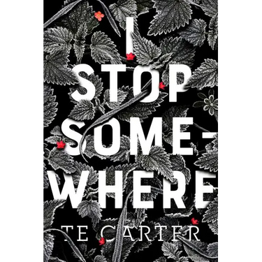 I Stop Somewhere