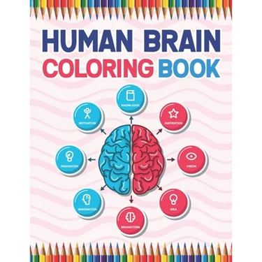 Human Brain Coloring Book: The Human Brain Coloring Book. Human Brain Model Anatomy, Human Brain Diagram, Human Brain Art, Human Brain and Human