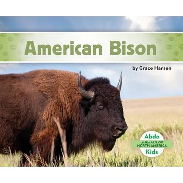 American Bison