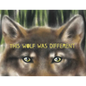This Wolf Was Different