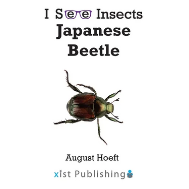 Japanese Beetle