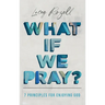 What If We Pray: 7 Prayer Principles For Enjoying God
