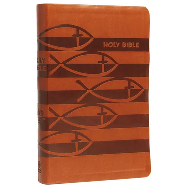 Icb, Holy Bible, Leathersoft, Brown: International Children's Bible