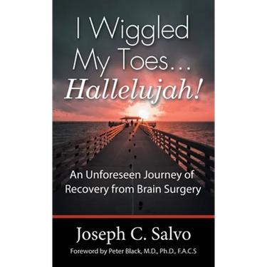 I Wiggled My Toes ... Hallelujah!: An Unforeseen Journey of Recovery from Brain Surgery