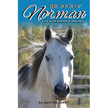 The Book of Norman: A life in the shadow of greatness.
