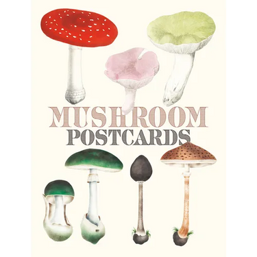Mushroom Postcards