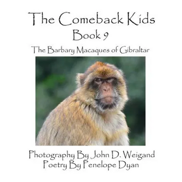 The Comeback Kids -- Book 9 -- The Barbary Macaques of Gibraltar