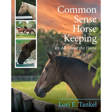 Common Sense Horse Keeping