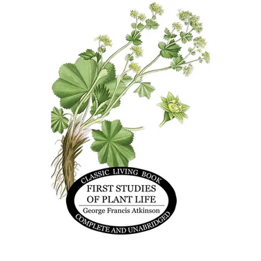 First Studies of Plant Life
