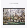 Elastic Signature: Notes on Painting