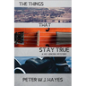 The Things That Stay True: A Vic Lenoski Mystery