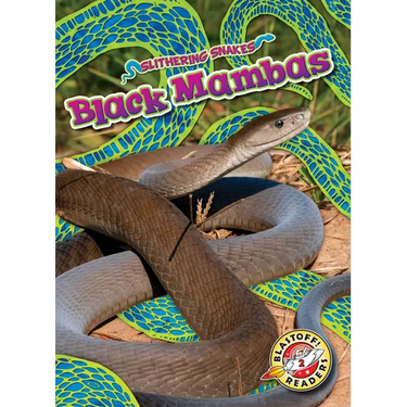 Black Mambas