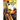 The Chromatic Court