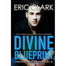 Divine Blueprint: What the World Calls Coincidence God Calls Providence