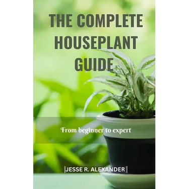 The Complete House Plant Guide: From Beginner to Expert