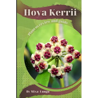 Hoya Kerrii: Plant overview and guide
