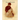 Gilded Tragedy: West Virginia's Titanic Widow