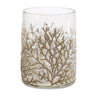 Dried Cedar Glass Candle Holder (Set of 3)
