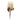 Beige Protea Flower Stem (Set of 2)