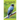 Birds of the Indian Hills
