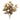 Variegated Foliage Plant (Set of 6)