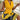 92b03ed0-8569-4579-baad-e6739af7abec-Max