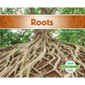 Roots