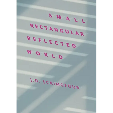 Small, Rectangular, Reflected World