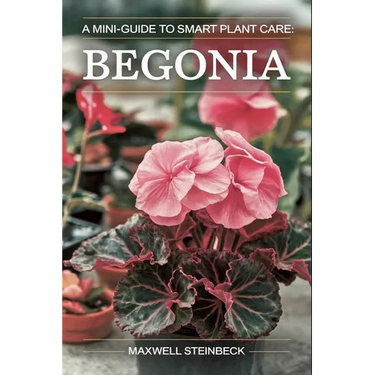A mini-guide to smart plant care: Begonia