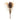 Fall Banksia Pod Stem (Set of 2)