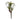 Air Plant Succulent Pick (Set of 6)