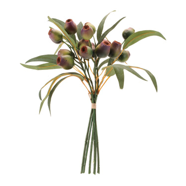Pod Foliage Bundle (Set of 6)