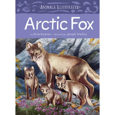 Animals Illustrated: Arctic Fox