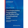 Pheochromocytomas, Paragangliomas and Disorders of the Sympathoadrenal System: Clinical Features, Diagnosis and Management