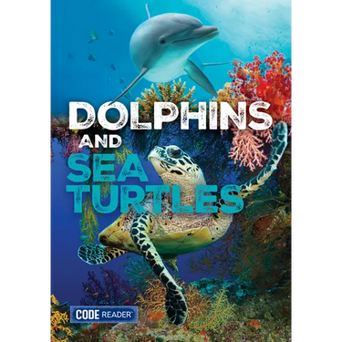 Dolphins and Sea Turtles