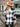 98fd2135c231447c8b70e979d6518188-Max