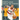 The Story of the Portland Trail Blazers