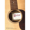 Guitar: An American Life