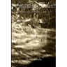 Forgotten Echoes: Poems on Love and Loss
