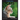 My Favorite Animal: Cats