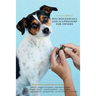 Dog reflexology and acupressure for owners
