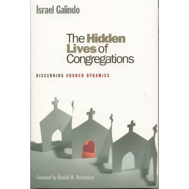 Hidden Lives of Congregations: Discerning Church Dynamics