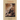 Darwin: A Companion