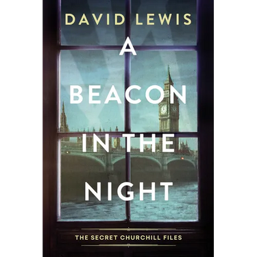 A Beacon in the Night