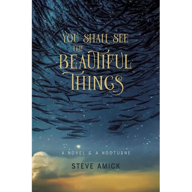 You Shall See the Beautiful Things: A Novel & a Nocturne