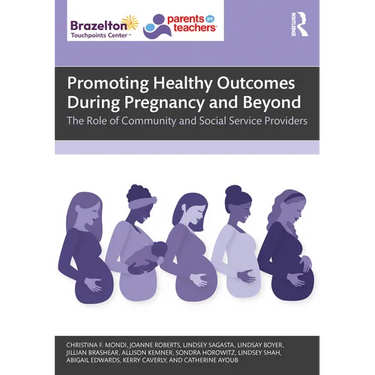 Promoting Healthy Outcomes During Pregnancy and Beyond: The Role of Community and Social Service Providers